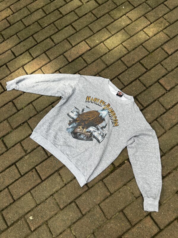 Harley Davidson 3D Emblem Sweatshirt