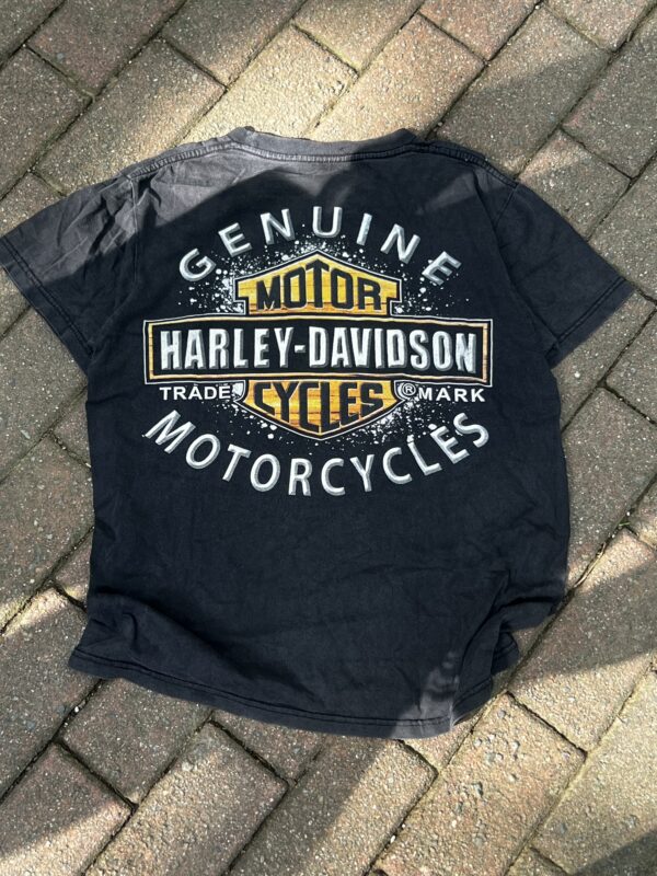 Harley Davidson Genuine Motorcycle Ghost Rider - Image 5